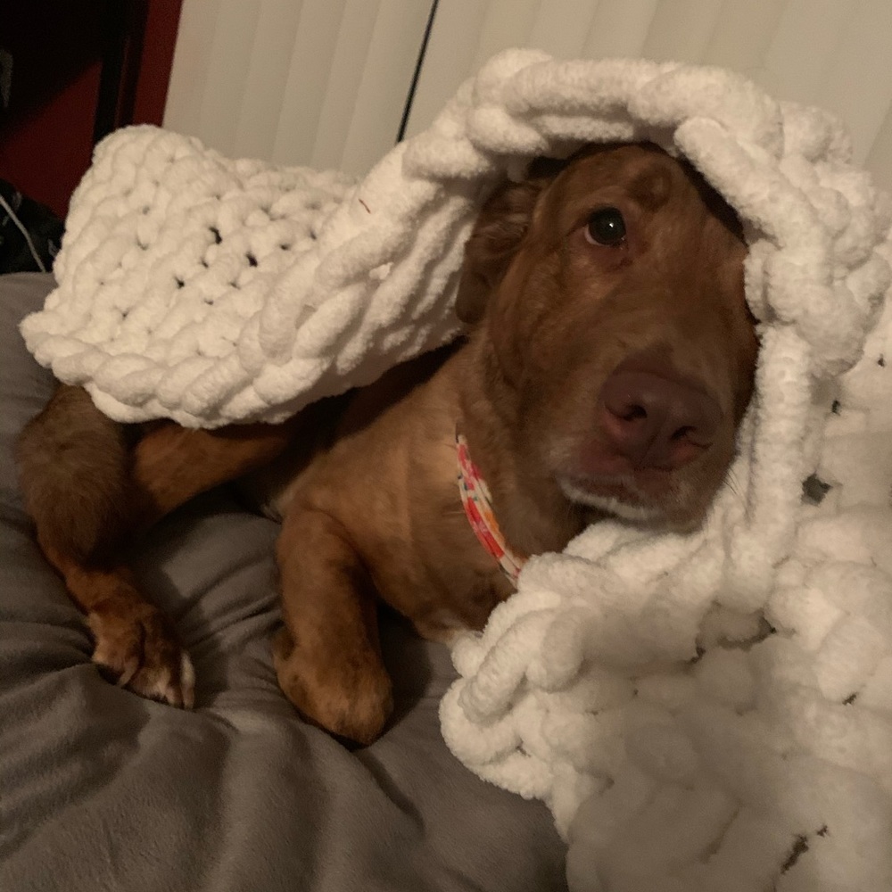 Meet your Posher, Darilin